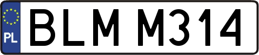 BLMM314