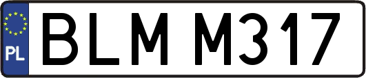 BLMM317