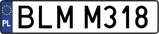 BLMM318