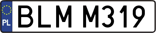 BLMM319