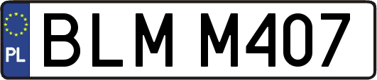 BLMM407