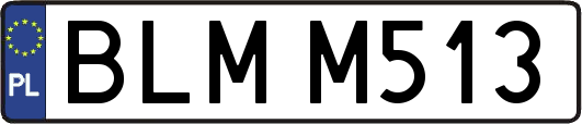 BLMM513
