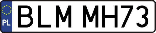 BLMMH73
