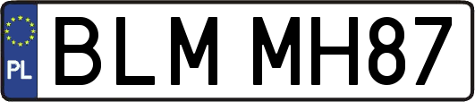 BLMMH87