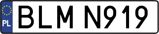 BLMN919