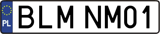 BLMNM01