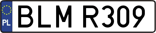 BLMR309