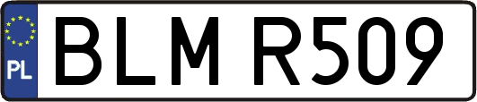 BLMR509