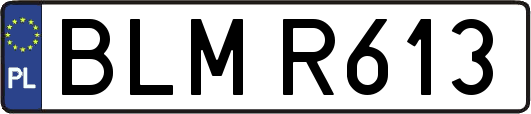 BLMR613