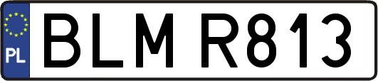 BLMR813