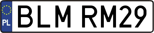 BLMRM29