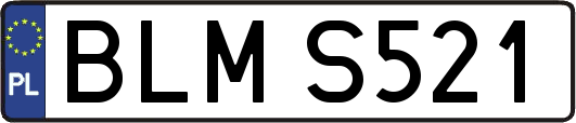 BLMS521
