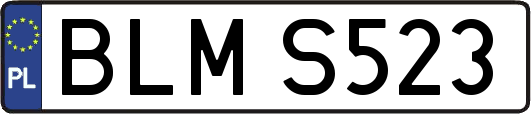 BLMS523