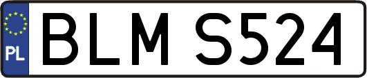 BLMS524