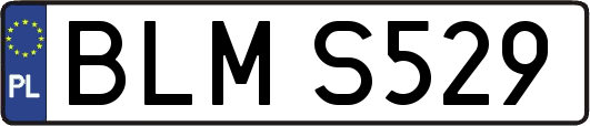 BLMS529
