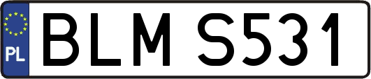 BLMS531