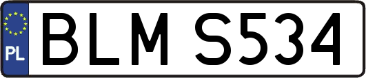 BLMS534