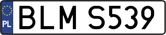 BLMS539