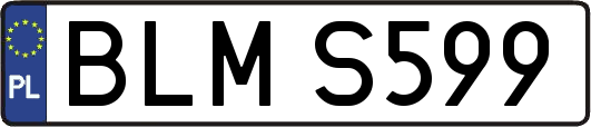 BLMS599