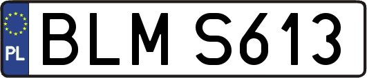BLMS613