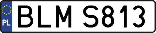 BLMS813