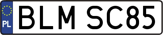 BLMSC85