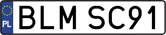 BLMSC91