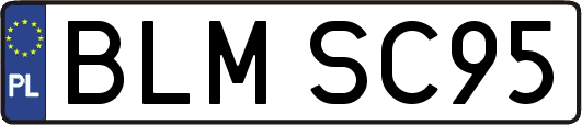 BLMSC95