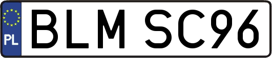 BLMSC96