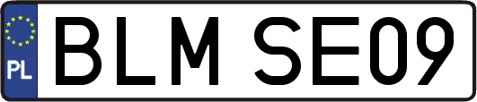 BLMSE09