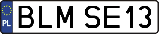 BLMSE13