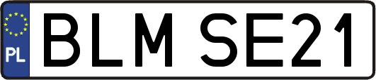 BLMSE21