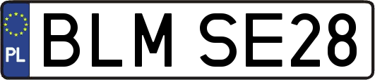 BLMSE28