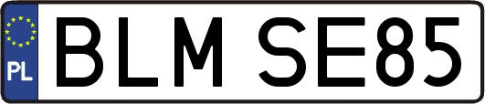 BLMSE85
