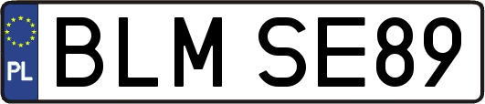BLMSE89