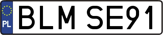 BLMSE91