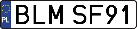 BLMSF91