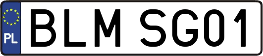 BLMSG01