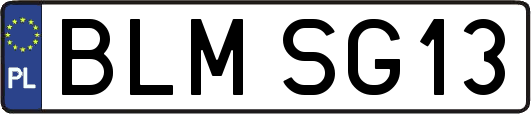 BLMSG13