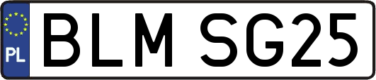 BLMSG25