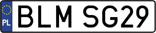BLMSG29