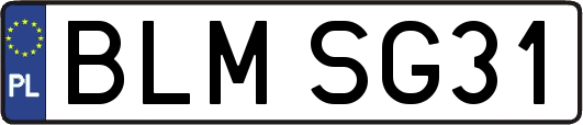 BLMSG31