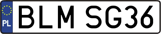 BLMSG36
