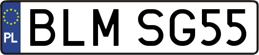 BLMSG55