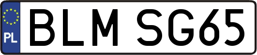 BLMSG65
