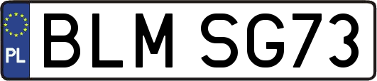 BLMSG73