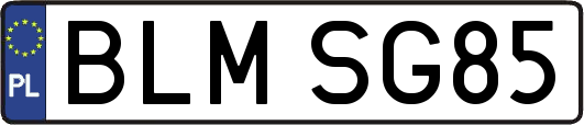 BLMSG85