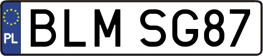 BLMSG87