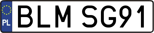 BLMSG91