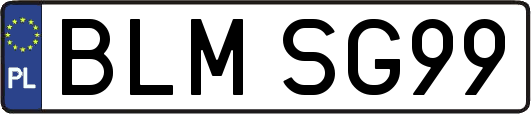 BLMSG99